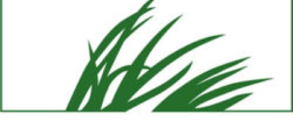 Fd Biodiversidad