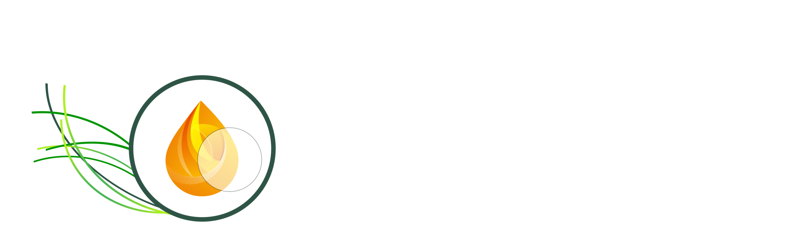 OBSERVATORIO NACIONAL DE RESINAS NATURALES